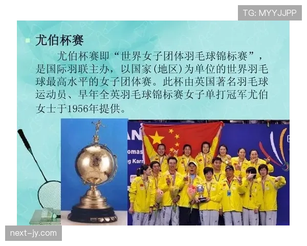 中立球规则：裁判何时判停并如何决定掉球归属