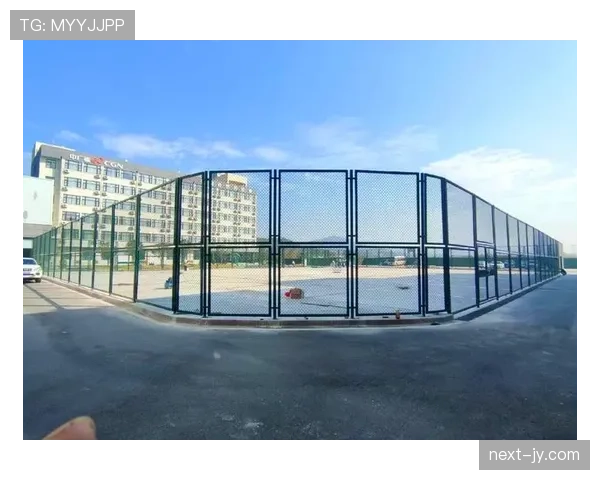 球场尺寸规则：国际与业余比赛的标准与下限